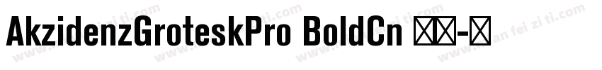 AkzidenzGroteskPro BoldCn 粗体字体转换